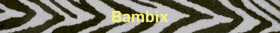 Bambix