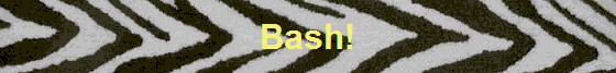 Bash!