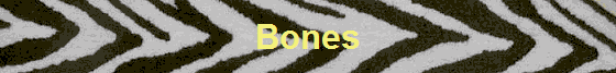 Bones