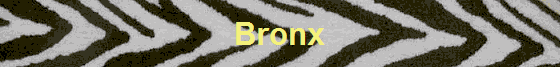 Bronx