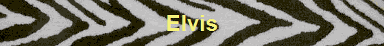 Elvis