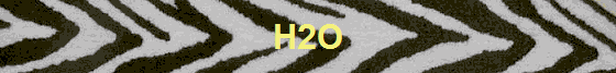 H2O