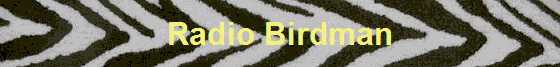 Radio Birdman