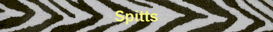 Spitts